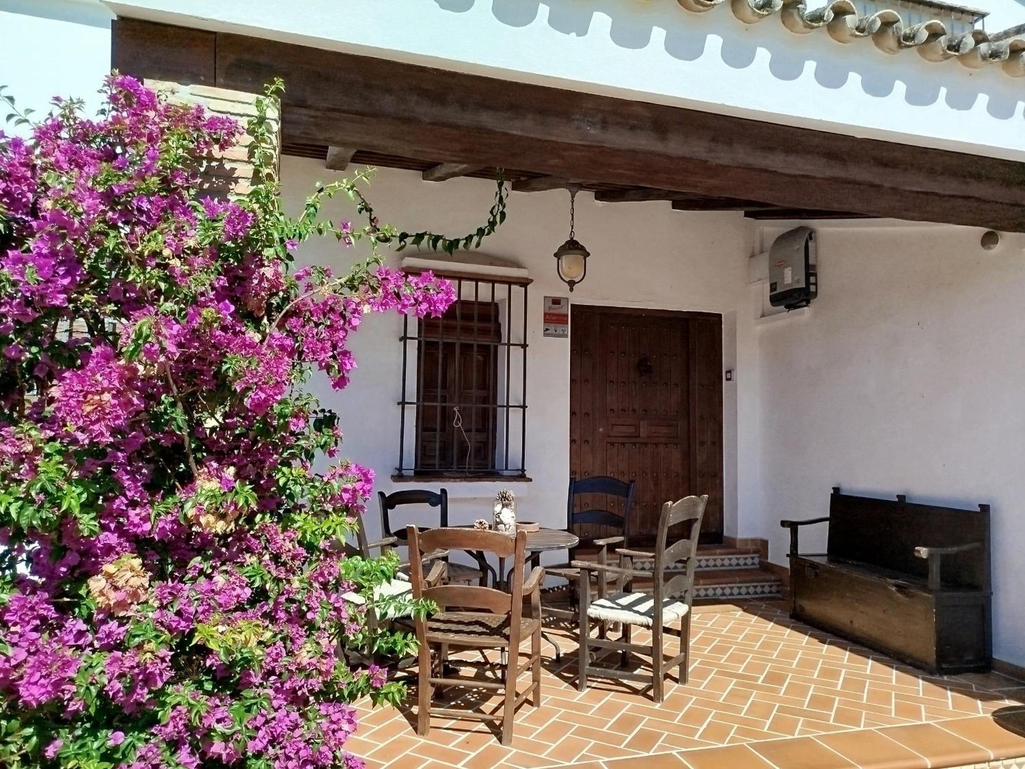 Gran Casa Con Piscina Privada By Chiclana Dreams Villa Chiclana de la Frontera Exterior foto